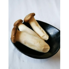 100克g 杏鲍菇 King Oyster Mushroom